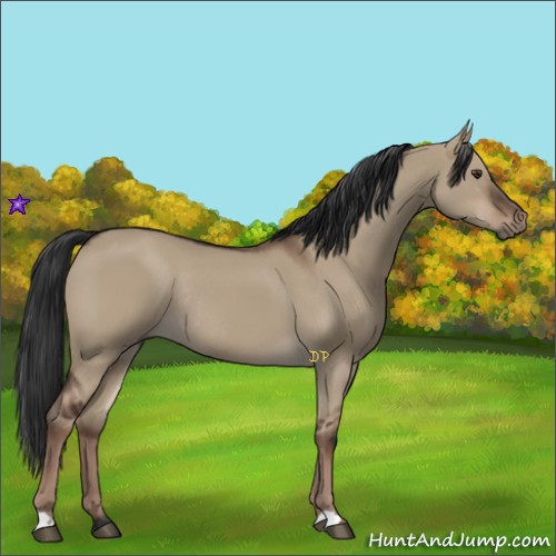 Horse Color:Liver Red Dun Rabicano 