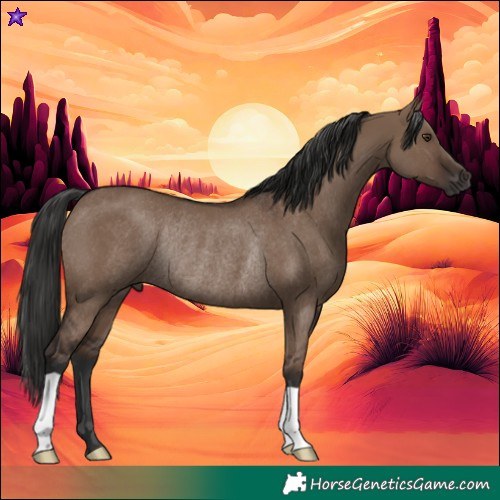 Horse Color:Liver Red Dun Rabicano 