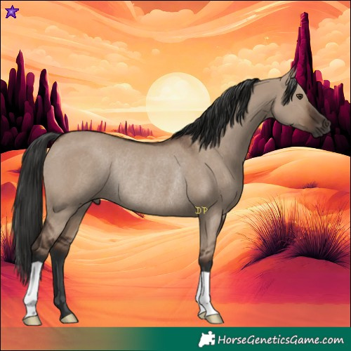 Horse Color:Liver Red Dun Rabicano 