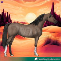 Horse Color:Liver Red Dun Rabicano 