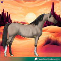 Horse Color:Liver Red Dun Rabicano 
