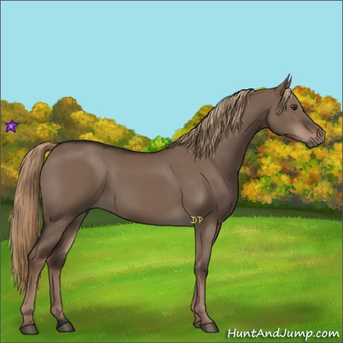Horse Color:Liver Red Dun Rabicano 