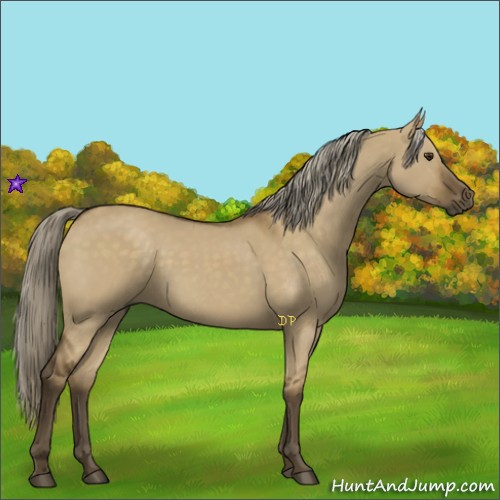 Horse Color:Chocolate Palomino Dun Rabicano 