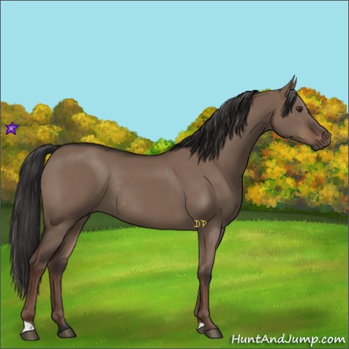 Horse Color:Liver Red Dun Rabicano 