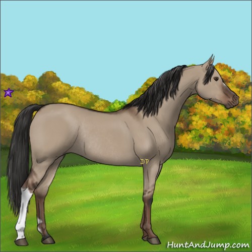 Horse Color:Liver Red Dun Rabicano