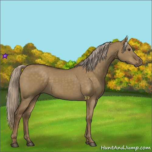 Horse Color:Chocolate Palomino Dun Rabicano
