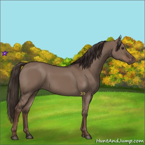 Horse Color:Liver Red Dun Rabicano