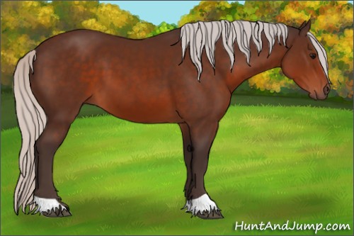 Horse Color:Silver Brown 