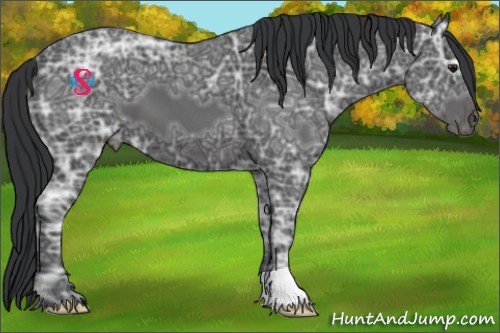 Horse Color:Black Ice 