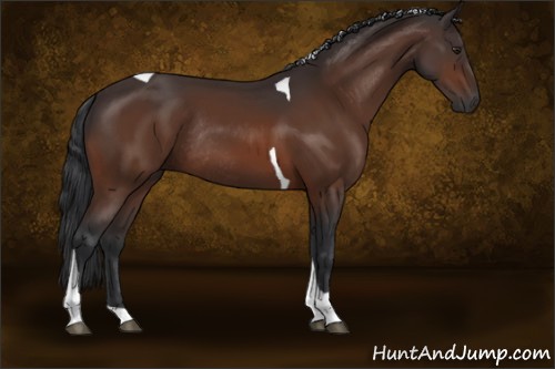 Horse Color:Brown Tobiano Rabicano 