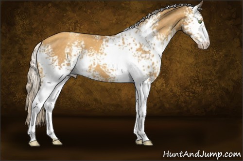 Horse Color:White Spotted Gold Cream Champagne 