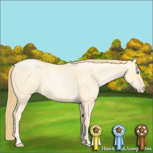 Horse Color:Buckskin Roan Pearl  and Buckskin Roan Pearl 