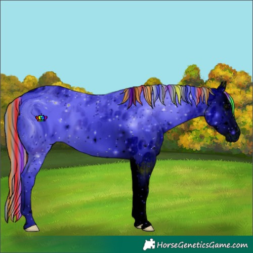 Horse Color:ERROR: UNKNOWN ANOMALY