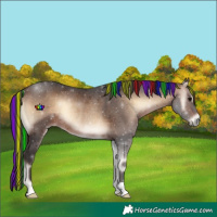 Horse Color:Painted Brown Onyx Rabicano 
