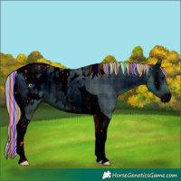 Horse Color:ERROR: UNKNOWN ANOMALY