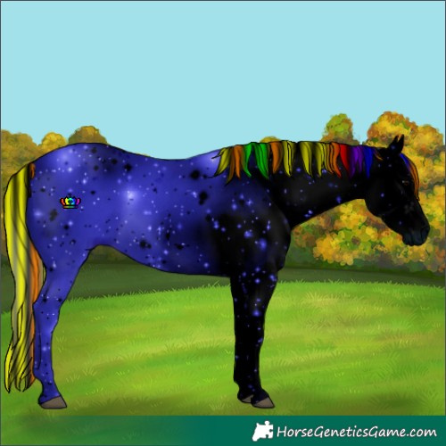 Horse Color:ERROR: UNKNOWN ANOMALY
