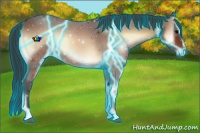 Horse Color:Thunderstruck Bay Onyx Sabino 