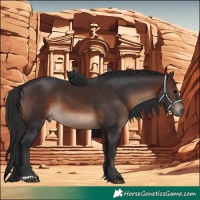 Horse Color:Brown 