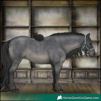 Horse Color:Blue Roan 