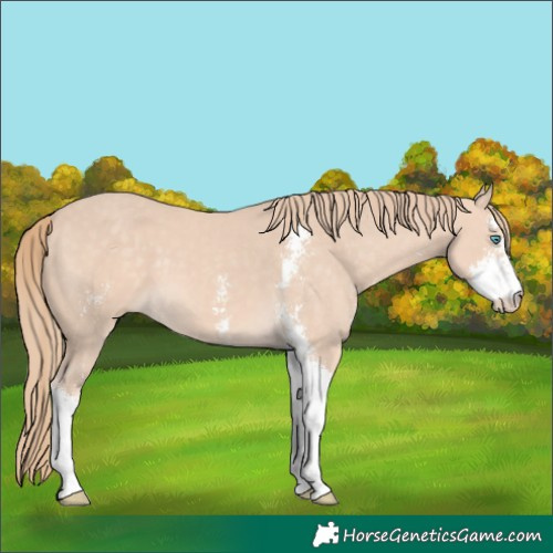Horse Color:Perlino Sabino