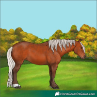 Horse Color:Silver Brown 