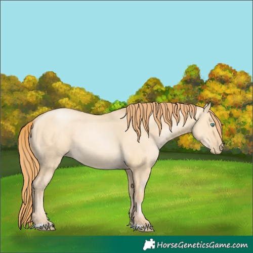 Horse Color:Buckskin Pearl Dun