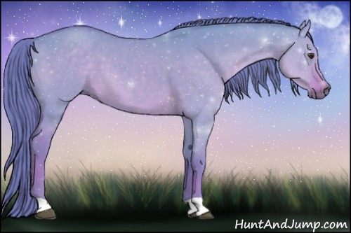 Horse Color:Watercolor Red Dun 