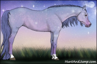 Horse Color:Watercolor Red Dun 