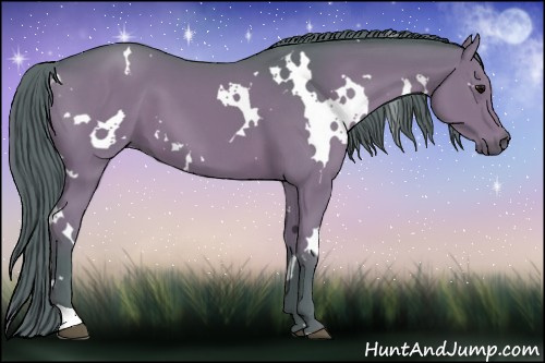 Horse Color:Watercolor White Spotted Chocolate Black 