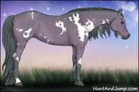 Horse Color:Watercolor White Spotted Chocolate Black 