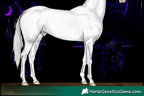 Horse Color:Silver Black Pearl Sabino Rabicano 