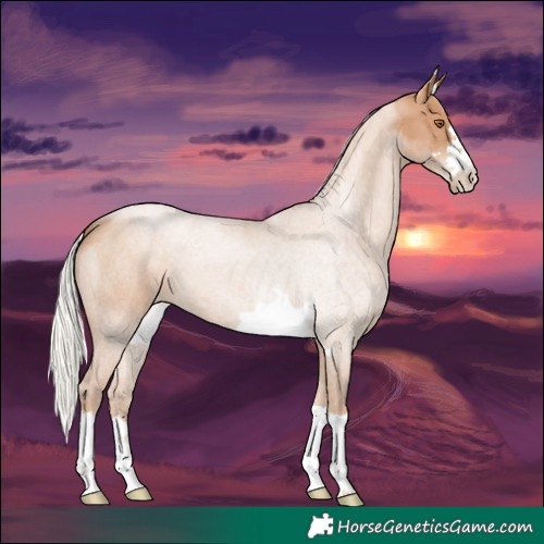 Horse Color:Silver Black Pearl 