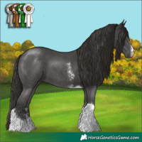 Horse Color:Liver Chestnut Sabino Tobiano