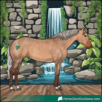 Horse Color:Silver Brown Dun Rabicano 