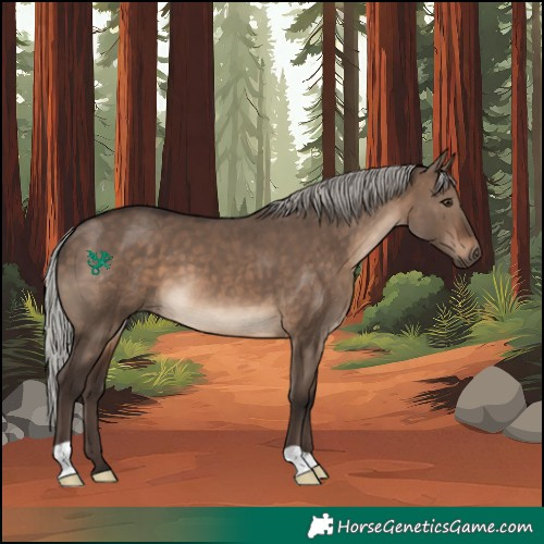 Horse Color:Silver Brown Dun