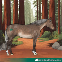 Horse Color:Silver Brown Dun 