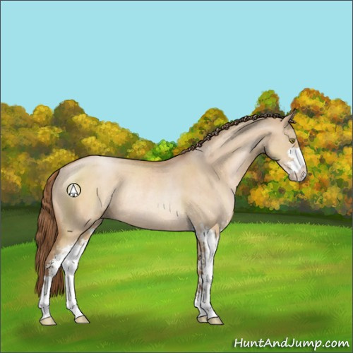 Horse Color:Brown Pearl Dun Sabino Rabicano 