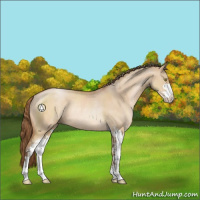 Horse Color:Brown Pearl Dun Sabino Rabicano 