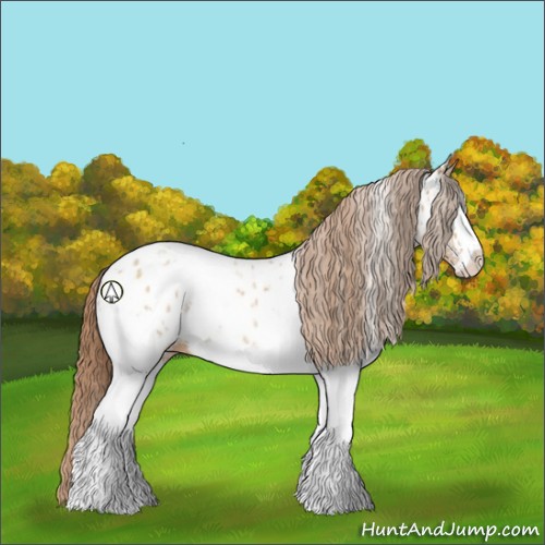 Horse Color:White Spotted Brown Pearl Sabino Appaloosa 