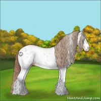 Horse Color:White Spotted Brown Pearl Sabino Appaloosa 