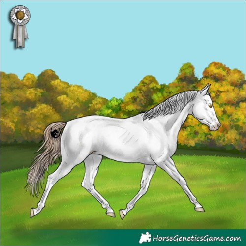 Horse Color:Brown Pearl Dun Sabino Splash 