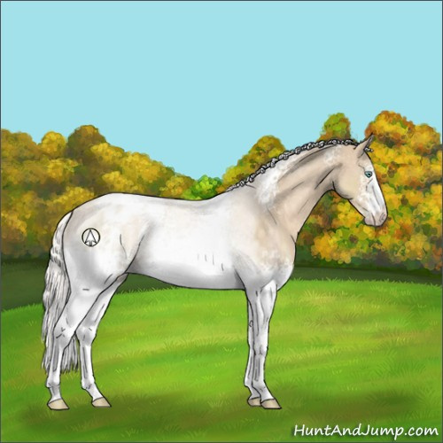 Horse Color:White Spotted Silver Perlino Sabino Blanket 