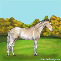 Horse Color:White Spotted Silver Brown Pearl Dun Splash Tobiano Rabicano