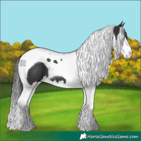 Horse Color:Black Splash Tobiano 