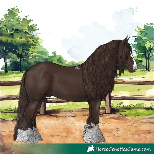 Horse Color:Liver Chestnut 