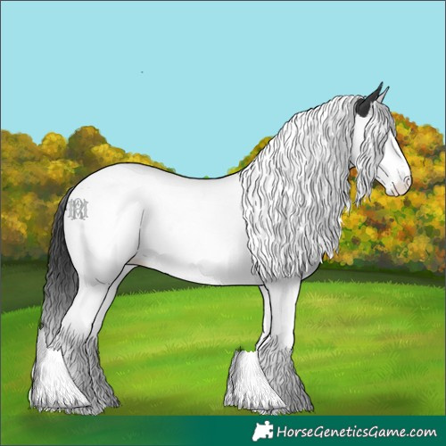 Horse Color:Black Splash Tobiano