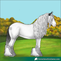 Horse Color:Black Splash Tobiano