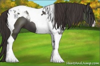 Horse Color:Smoky Black Tobiano 