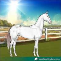 Horse Color:Sable Champagne Roan Varnish 
