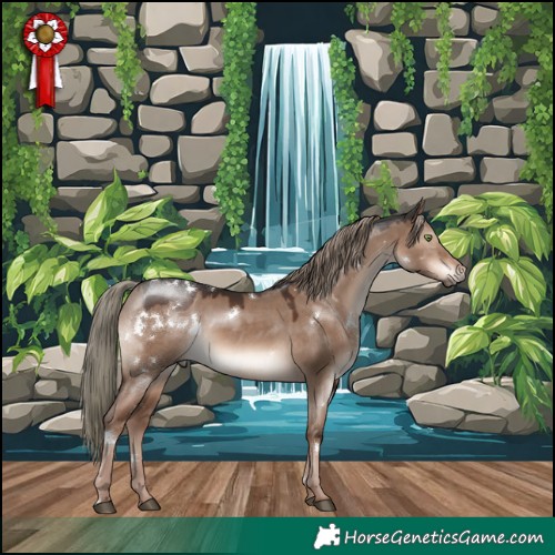 Horse Color:White Spotted Liver Red Dun Mushroom Rabicano 